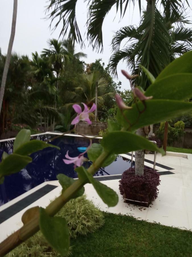 Colibri Villa Maggona ภายนอก รูปภาพ